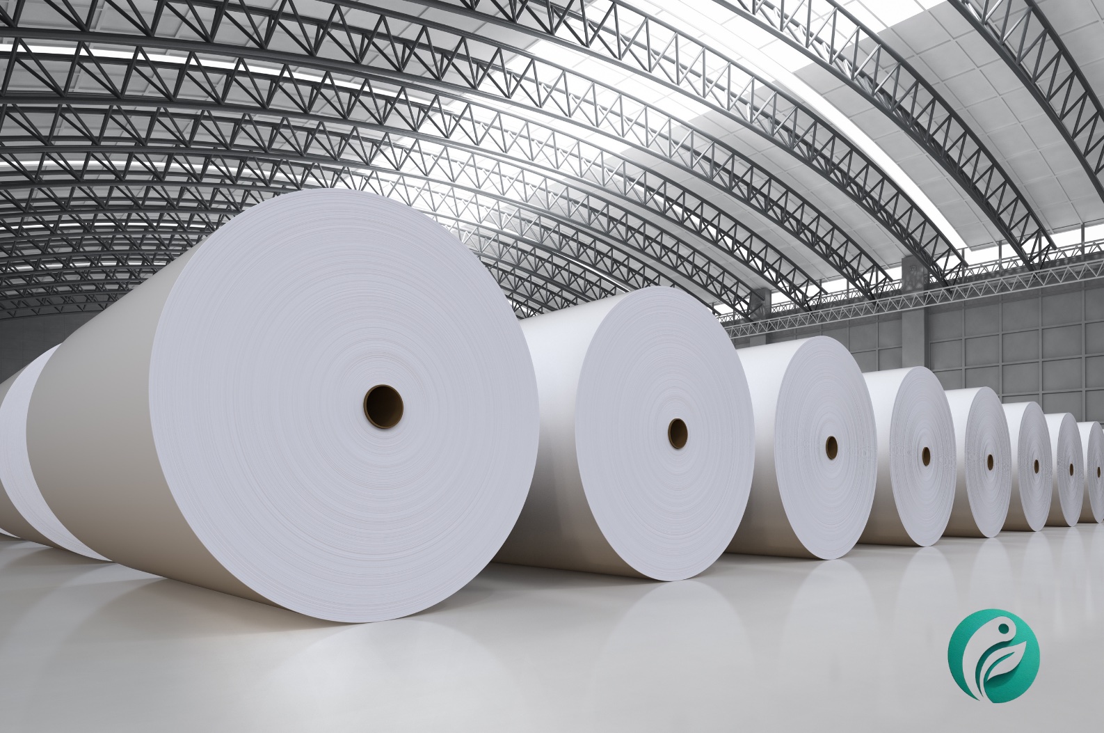 5 Incredible Ways Exponus Traders is Changing the Paper Plate Industry